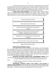 Vidaus audito vykdymas 12 puslapis