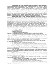 Vidaus audito vykdymas 13 puslapis