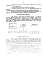 Vidaus audito vykdymas 14 puslapis