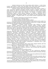 Vidaus audito vykdymas 15 puslapis