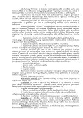 Vidaus audito vykdymas 16 puslapis