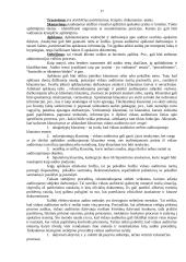 Vidaus audito vykdymas 17 puslapis