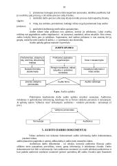 Vidaus audito vykdymas 18 puslapis