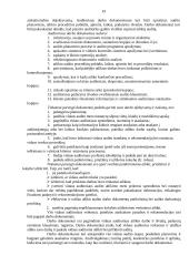 Vidaus audito vykdymas 19 puslapis