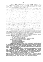 Vidaus audito vykdymas 20 puslapis