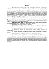 Vidaus audito vykdymas 3 puslapis