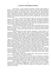 Vidaus audito vykdymas 4 puslapis