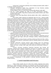 Vidaus audito vykdymas 5 puslapis