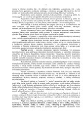 Vidaus audito vykdymas 7 puslapis