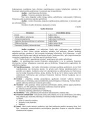 Vidaus audito vykdymas 8 puslapis