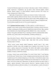 Europos turizmo zonos 5 puslapis