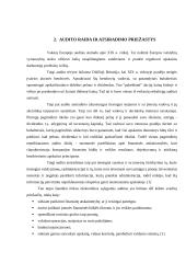 Vidaus bei išorės auditas 2 puslapis