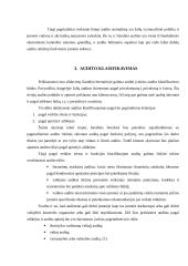 Vidaus bei išorės auditas 3 puslapis