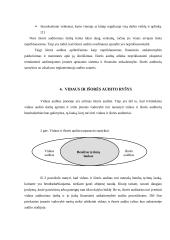 Vidaus bei išorės auditas 6 puslapis