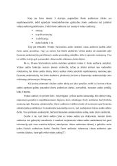 Vidaus bei išorės auditas 7 puslapis