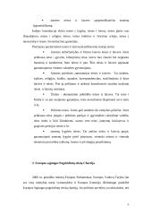 Europos žmogaus teisių ir pagrindinių laisvių apsaugos konvencija, Europos sąjungos Pagrindinių teisių chartija. Taikymas Lietuv 5 puslapis