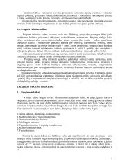 Viešosios kalbos struktūra 5 puslapis