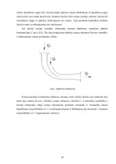 Ežektorinės aeravimo sistemos efektyvumo tyrimas 13 puslapis
