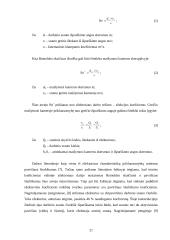 Ežektorinės aeravimo sistemos efektyvumo tyrimas 16 puslapis