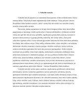 Viešųjų ir privačių santykių reguliavimas valstybės tarnyboje 3 puslapis