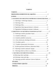 Faktoringo ir forfeitingo, kaip alternatyvių finansavimo šaltinių, tyrimas 2 puslapis