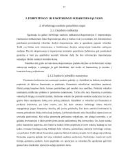 Faktoringo ir forfeitingo, kaip alternatyvių finansavimo šaltinių, tyrimas 17 puslapis
