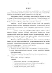 Faktoringo ir forfeitingo, kaip alternatyvių finansavimo šaltinių, tyrimas 4 puslapis