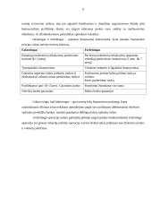 Faktoringo ir forfeitingo, kaip alternatyvių finansavimo šaltinių, tyrimas 6 puslapis