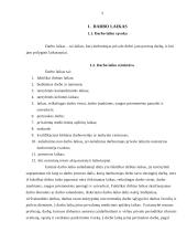 Viršvalandiniai darbai 3 puslapis