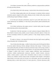 Viršvalandiniai darbai 6 puslapis