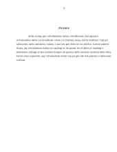 Viršvalandiniai darbai 9 puslapis