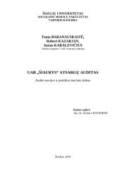 UAB „Šiaurys“ atsargų auditas