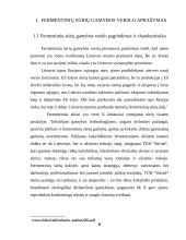 Fermentinių sūrių gamybos verslo organizavimo proceso projektavimas 6 puslapis