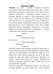 Virusai ir bakterijos 2 puslapis