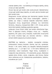 Virusai ir bakterijos 3 puslapis