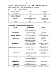 Virusai ir bakterijos 5 puslapis