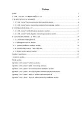 Finansinė analizė: avalynės gamyba UAB "Justas" 2 puslapis