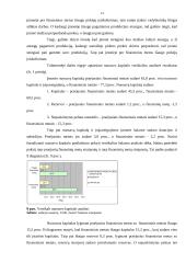 Finansinė analizė: avalynės gamyba UAB "Justas" 14 puslapis