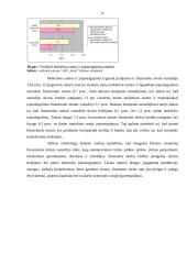 Finansinė analizė: avalynės gamyba UAB "Justas" 16 puslapis