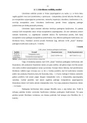 Finansinė analizė: avalynės gamyba UAB "Justas" 20 puslapis