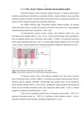Finansinė analizė: avalynės gamyba UAB "Justas" 6 puslapis