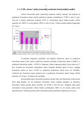 Finansinė analizė: avalynės gamyba UAB "Justas" 9 puslapis