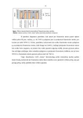 Finansinė analizė: avalynės gamyba UAB "Justas" 10 puslapis