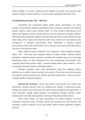 Finansinė globalizacija 12 puslapis