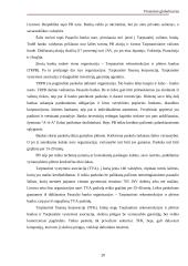 Finansinė globalizacija 20 puslapis