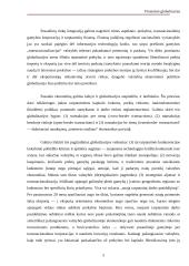 Finansinė globalizacija 5 puslapis