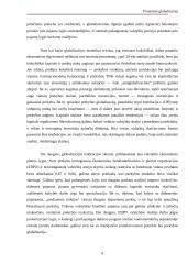 Finansinė globalizacija 6 puslapis