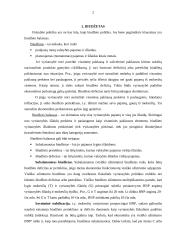 Valstybės vykdomos fiskalinės politikos ypatumai 2 puslapis