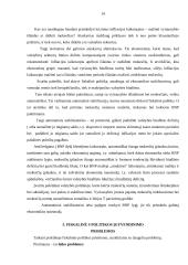 Valstybės vykdomos fiskalinės politikos ypatumai 14 puslapis