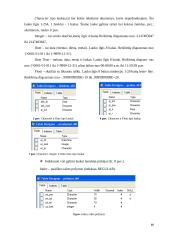 Fox Pro duomenų bazė 11 puslapis